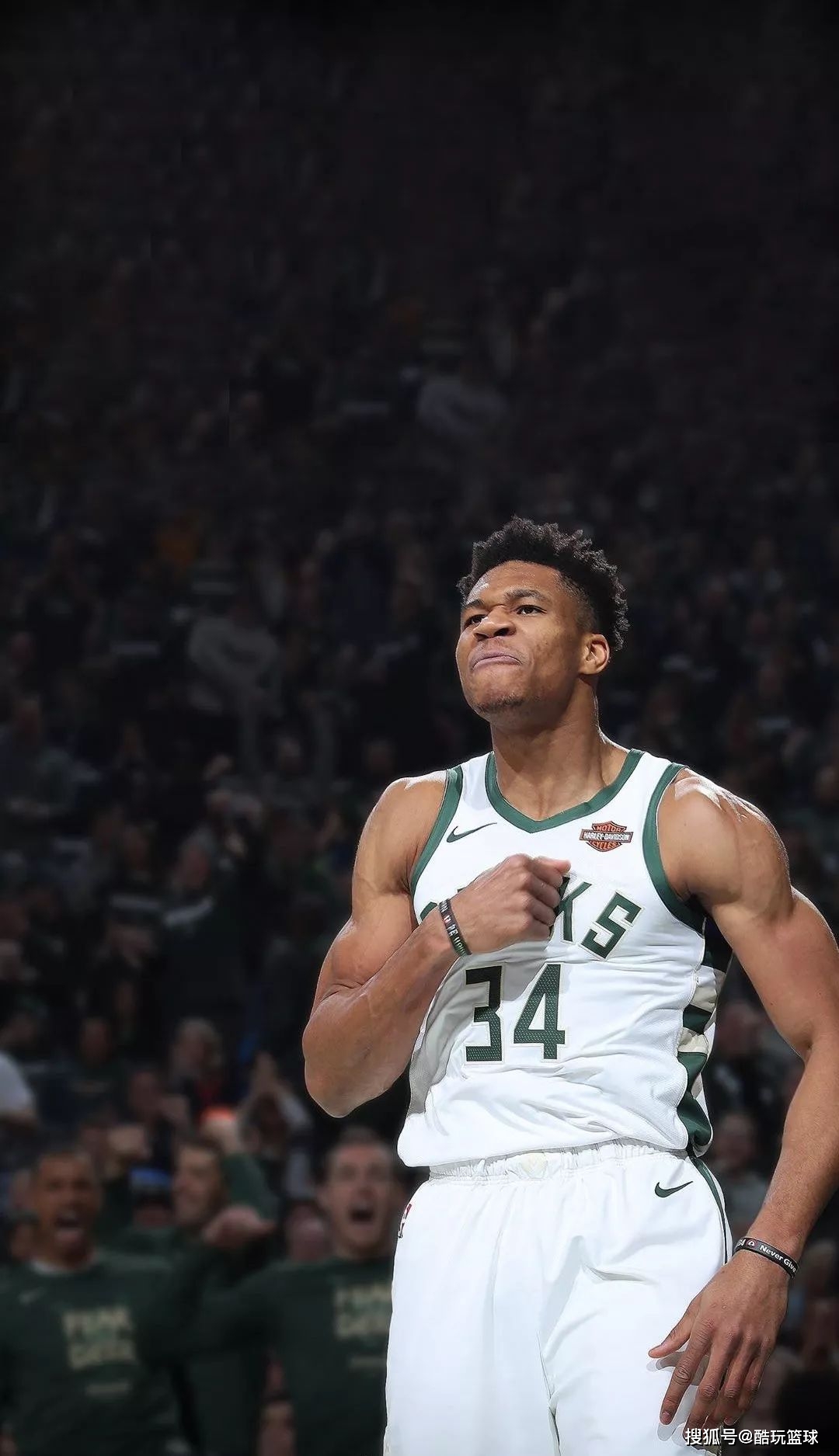 卡莉丝塔 卡莉丝塔